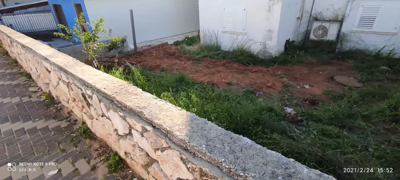 עיצוב גינה לפני